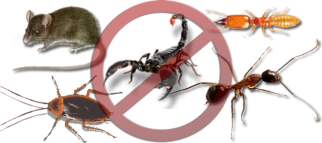 Controle de Pragas no Butantã